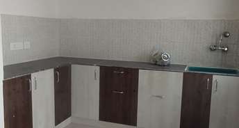 2 BHK Apartment For Rent in Newtech La Palacia Noida Ext Tech Zone 4 Greater Noida 6812276