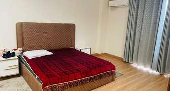 2 BHK Builder Floor For Rent in South City 1 Gurgaon 6812486