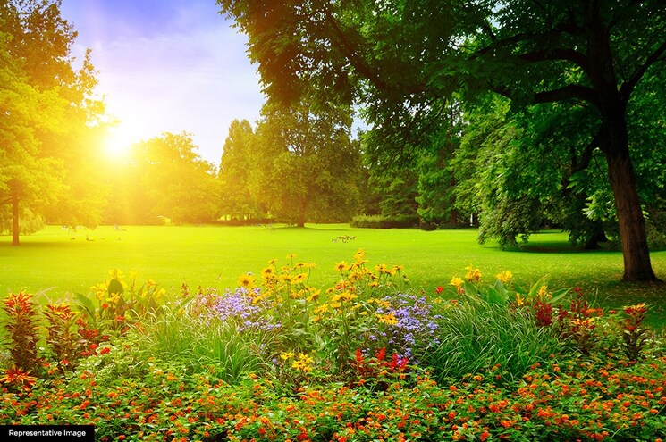 Garden, runwal-conch 1 Bedroom 441 Sq.Ft. Apartment In Manpada Thane 6812907