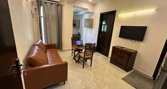 2 BHK Builder Floor For Rent in DLF The Summit Dlf Phase V Gurgaon 6812930