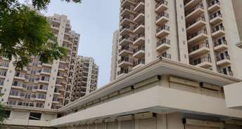 2 BHK Apartment For Resale in Pivotal Paradise Sector 62 Gurgaon 6813003