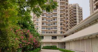 2 BHK Apartment For Resale in Pivotal Paradise Sector 62 Gurgaon 6813007