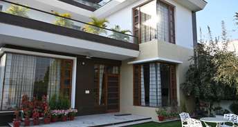 3 BHK Independent House For Rent in Sector 21 Panchkula 6813104