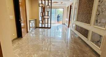 1 BHK Builder Floor For Rent in ASF Center Udyog Vihar Phase 4 Gurgaon 6813256