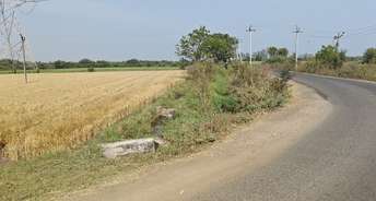 Commercial Land 5000 Sq.Yd. For Rent In Adajan Surat 6813511