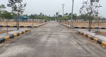  Plot For Resale in Choutuppal Hyderabad 6813536