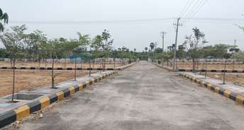  Plot For Resale in Brahmanapalle Hyderabad 6813597