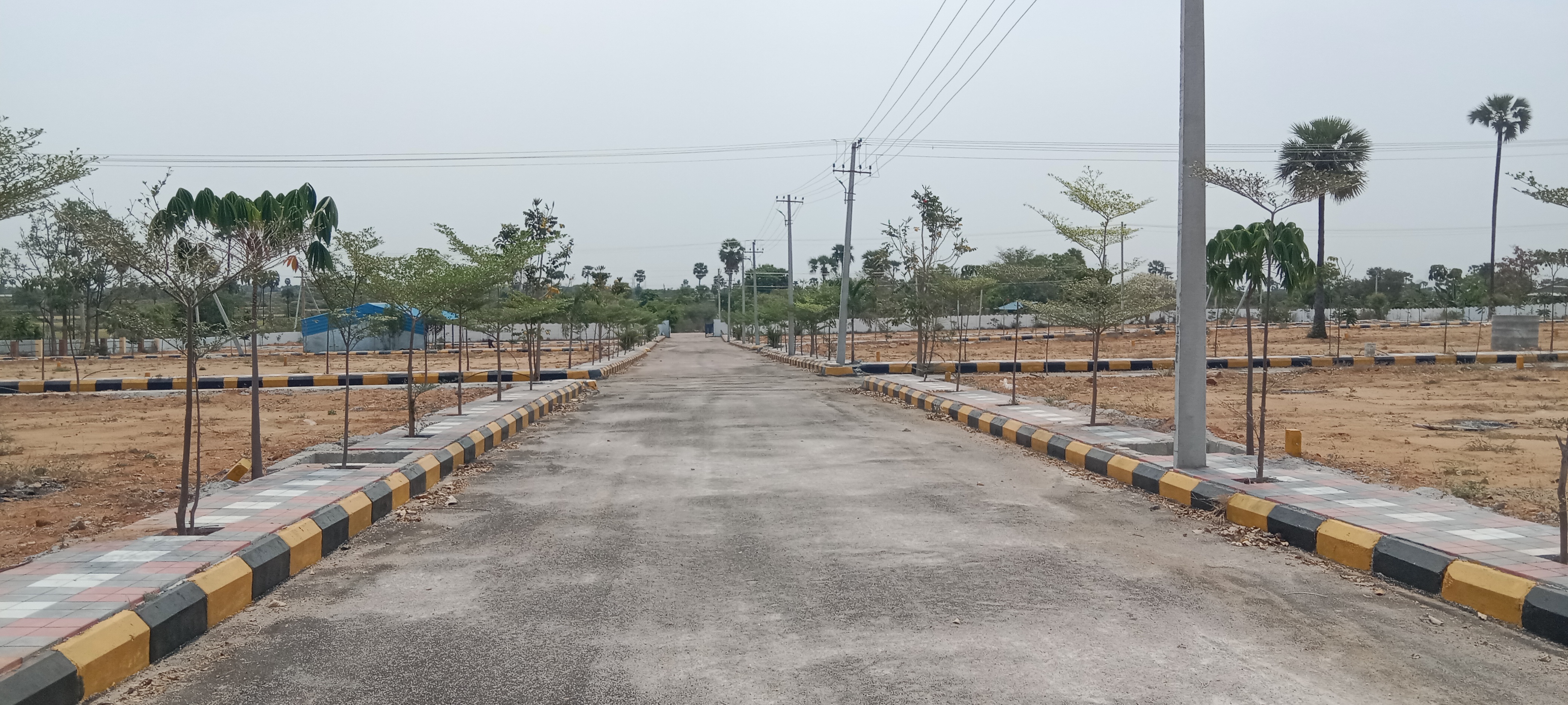 Plot For Resale in Sheriguda Hyderabad  6813609