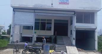 Commercial Showroom 3600 Sq.Ft. For Rent In Patiala Patiala 6813651