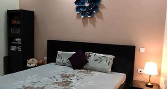 2 BHK Apartment For Rent in MI Rustle Court Gomti Nagar Lucknow 6814094