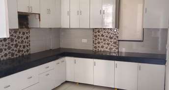 3 BHK Builder Floor For Rent in Sector 91 Mohali 6814483