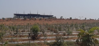 Plot For Resale in Shadnagar Hyderabad  6814617