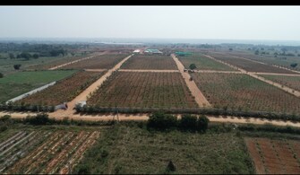 Plot For Resale in Shadnagar Hyderabad  6814617