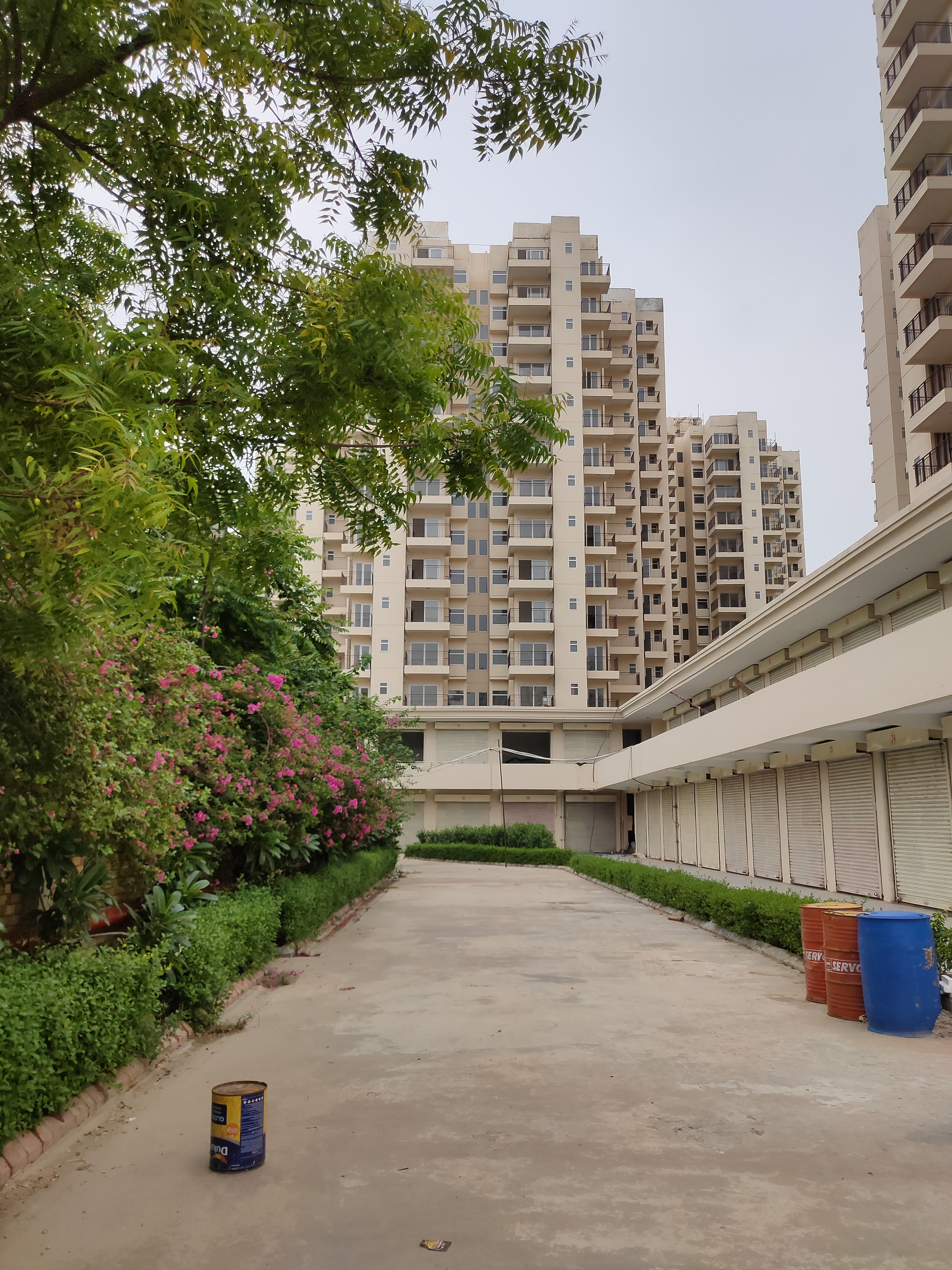 1 BHK Apartment For Resale in Pivotal Paradise Sector 62 Gurgaon  6814631