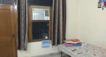 3 BHK Apartment For Rent in Motia Royal Estate Lohgarh Zirakpur 6814731