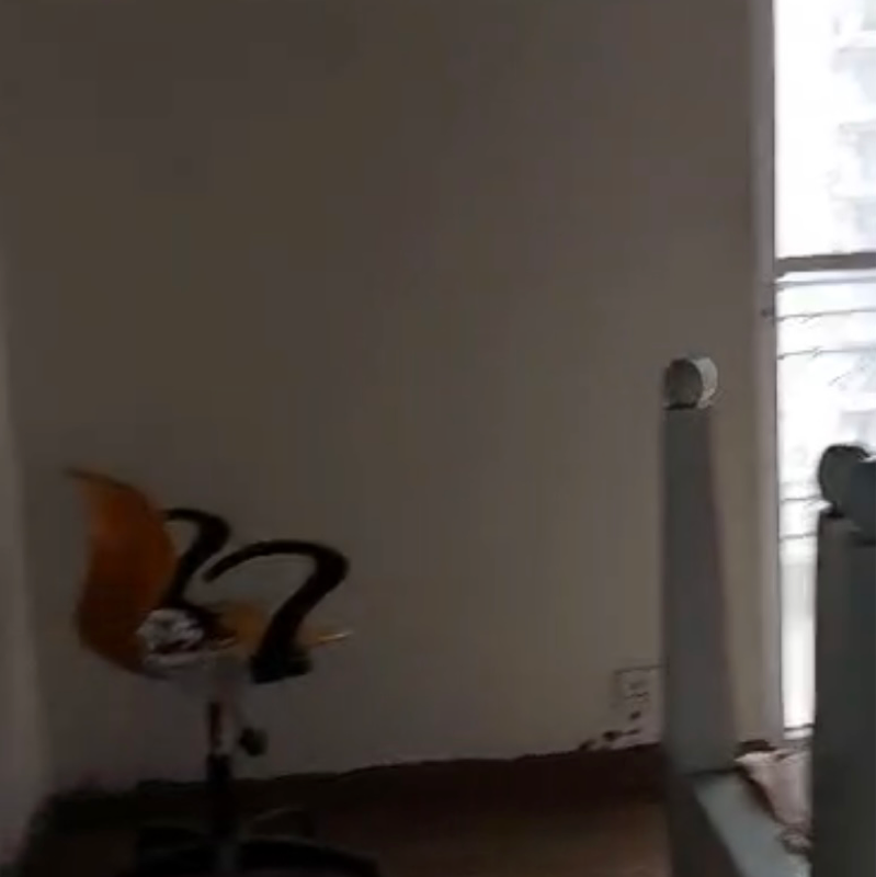 4 BHK + Servant Room Apartment For Rent in DLF New Town Heights I