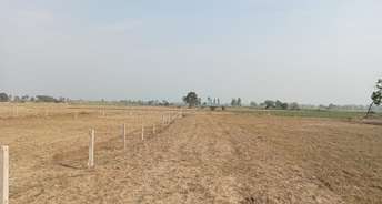  Plot For Resale in Yamuna Expressway Greater Noida 6814918