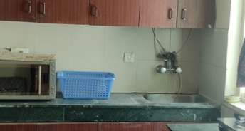 1 BHK Apartment For Rent in Sidcul Haridwar 6815163