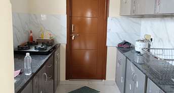2 BHK Apartment For Rent in Ten Madhapur Madhapur Hyderabad 6815205
