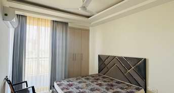 3 BHK Apartment For Rent in Maxxus Elanza Ghazipur Zirakpur 6815541