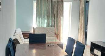 1 BHK Apartment For Rent in Urbtech Xaviers Sector 168 Noida 6815544
