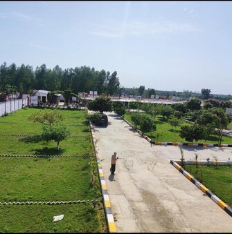 Plot For Resale in Behat Road Saharanpur  6815607