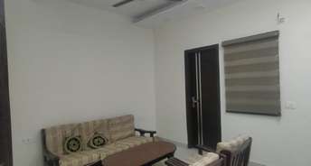 2 BHK Builder Floor For Rent in C Block Pocket IV Vikaspuri Vikas Puri Delhi 6815713