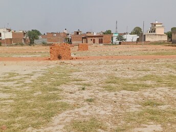 Plot For Resale in Asoati Palwal  6815844