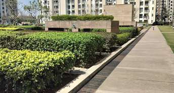 2 BHK Apartment For Rent in Unitech The Residences Sector 33 Sector 33 Gurgaon 6816024