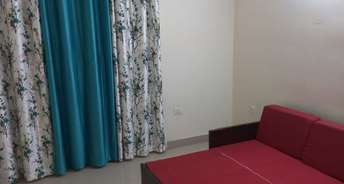 3 BHK Apartment For Rent in Conscient Habitat 78 Sector 78 Faridabad 6816018