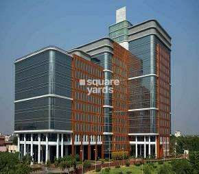 3 BHK Builder Floor For Rent in Dlf Cyber City Sector 24 Gurgaon 6816515