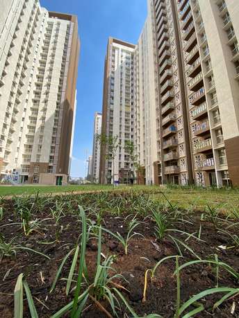 3 BHK Apartment For Resale in Lodha Upper Thane Meadows Mumbai   Nashik Expressway Thane 6816454