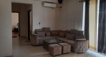 3 BHK Apartment For Rent in Sushma Chandigarh Grande Lohgarh Zirakpur 6816484