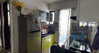 2 BHK Apartment For Rent in Oxford Comforts Wanwadi Pune 6816784