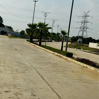  Plot For Resale in Jail Road Lucknow 6817011