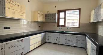 3 BHK Apartment For Rent in Barnala Green Lotus Avenue Ambala Highway Zirakpur 6817061