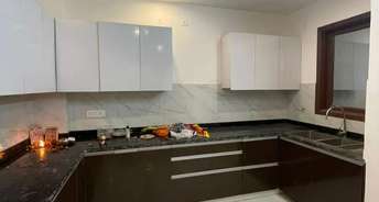 3 BHK Builder Floor For Rent in Freedom Fighters Enclave Saket Delhi 6817070