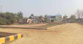 Commercial Land 2000 Sq.Ft. For Resale In Amethi Lucknow 6817080