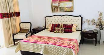 Studio Apartment For Rent in Maya Green Lotus Saksham Patiala Road Zirakpur 6817091