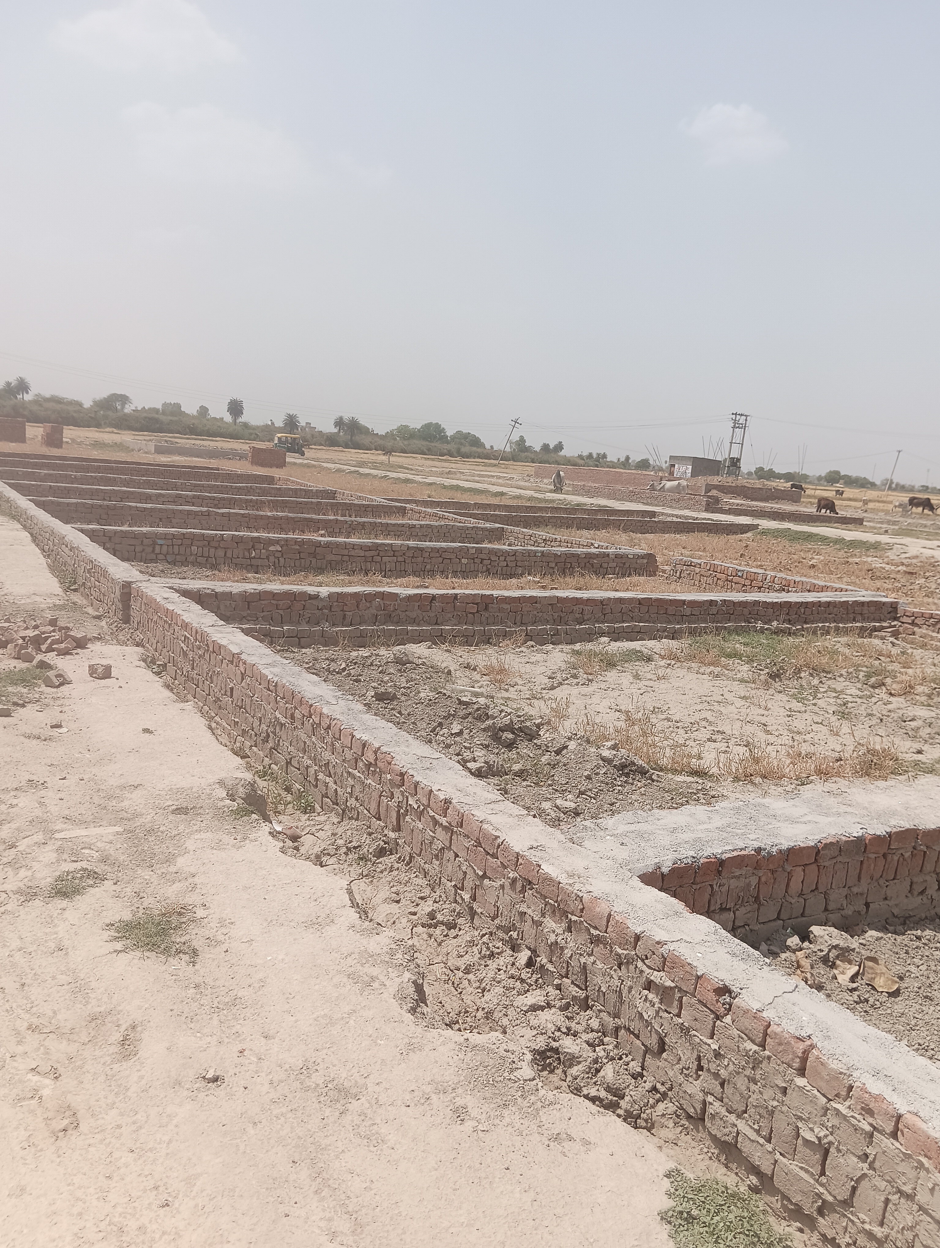 Plot For Resale in Bhopani Village Faridabad  6817092