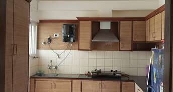 3 BHK Apartment For Rent in Jp Nagar Phase 7 Bangalore 6817134