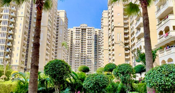 3.5 BHK Apartment For Rent in Purvanchal Royal City Gn Sector Chi V Greater Noida 6817535