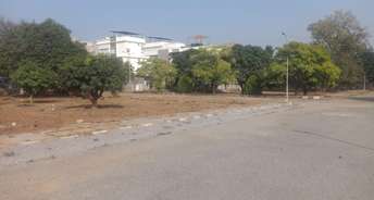  Plot For Resale in Bhanur Hyderabad 6817485