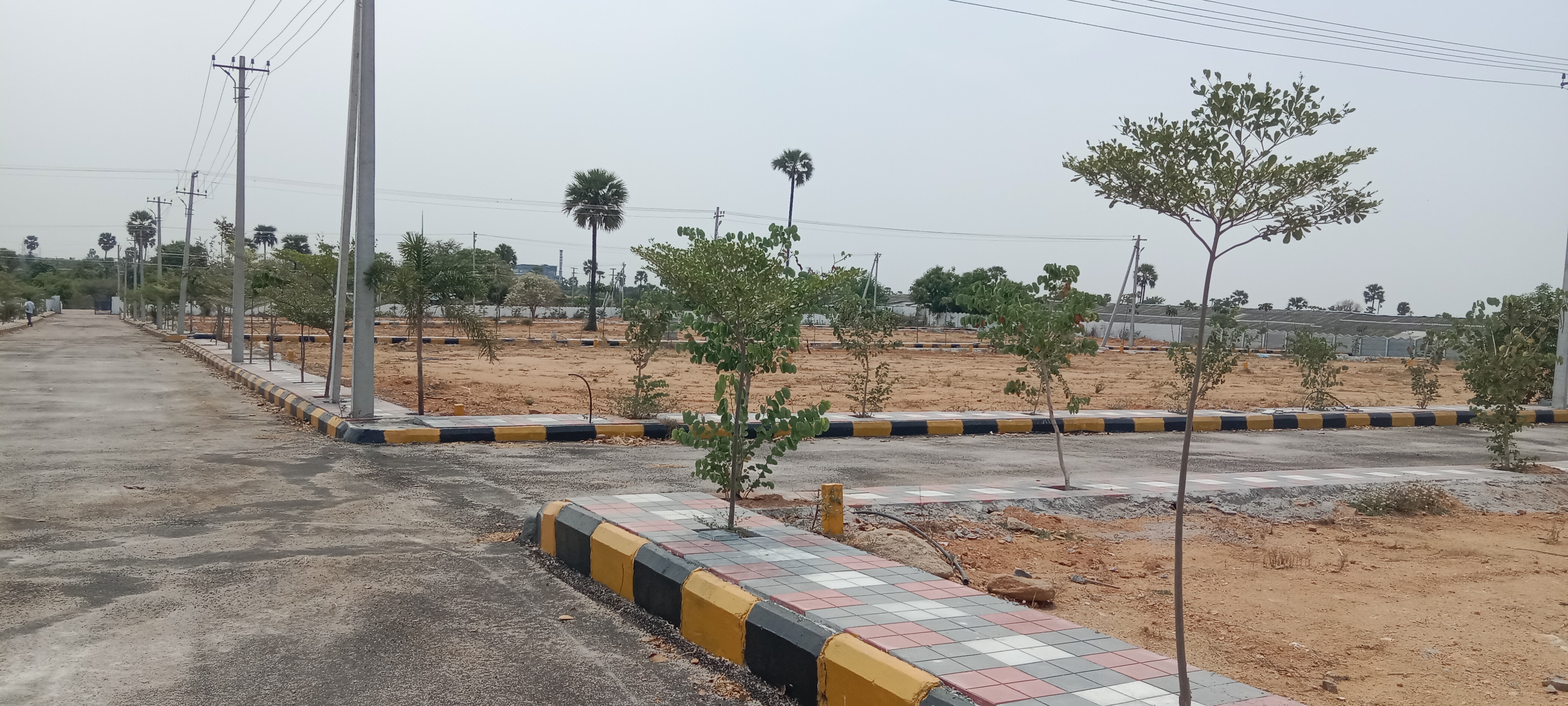 Plot For Resale in R K Puram Hyderabad  6817511