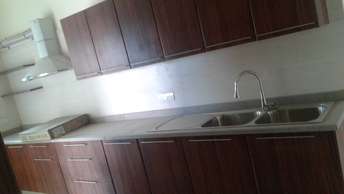 4 BHK Apartment For Rent in DLF The Pinnacle Sector 43 Gurgaon  6816122