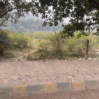 Plot For Resale in Sector 26 Noida  6817859