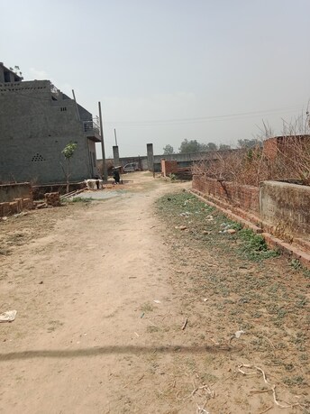 Plot For Resale in Dasna Ghaziabad  6818260