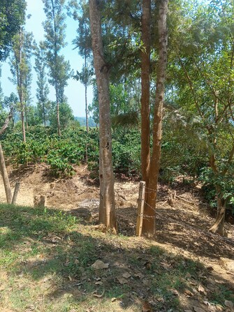 Commercial Land 5 Acre For Resale in Gonikoppal Coorg  6818301