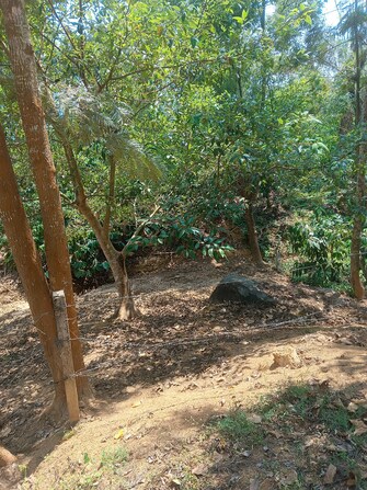 Commercial Land 5 Acre For Resale in Gonikoppal Coorg  6818301