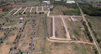  Plot For Resale in Acrux Chitra Patia Collage Road Bhubaneswar 6818499